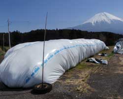 牧場イメージ